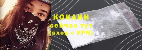 сатива Бронницы
