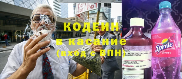 сатива Бронницы