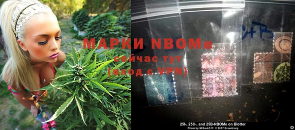 сатива Бронницы