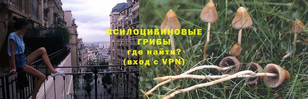 сатива Бронницы