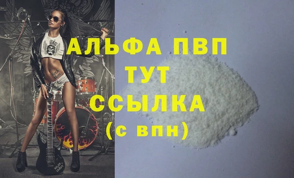 сатива Бронницы