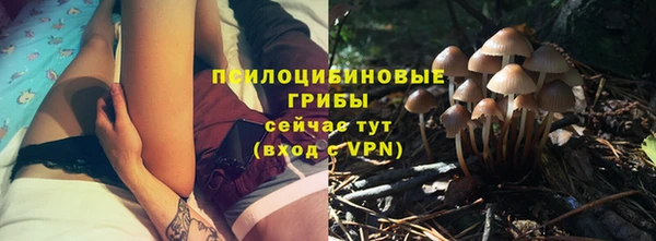 ECSTASY Бугульма